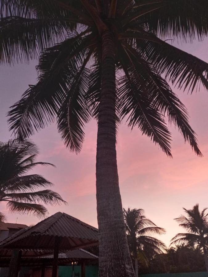 Paradise Kite Club